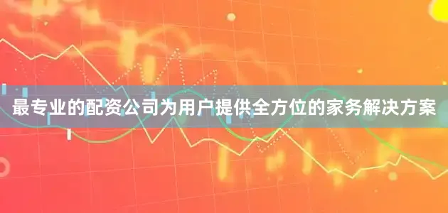 最专业的配资公司为用户提供全方位的家务解决方案