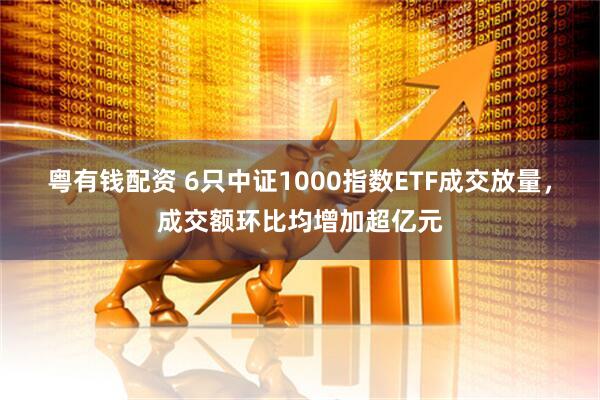 粤有钱配资 6只中证1000指数ETF成交放量，成交额环比均增加超亿元