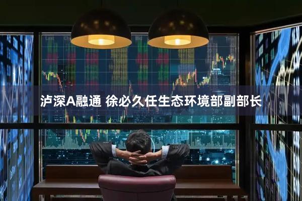 泸深A融通 徐必久任生态环境部副部长