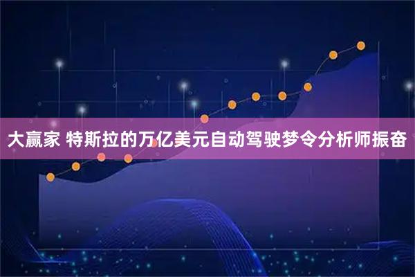 大赢家 特斯拉的万亿美元自动驾驶梦令分析师振奋