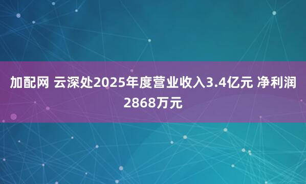 加配网 云深处2025年度营业收入3.4亿元 净利润2868万元