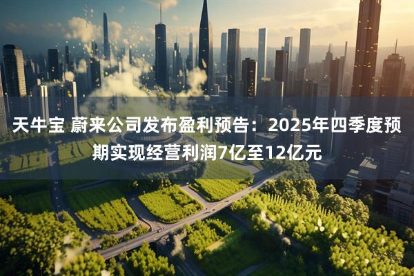 天牛宝 蔚来公司发布盈利预告：2025年四季度预期实现经营利润7亿至12亿元
